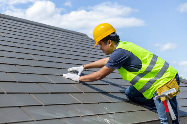 Best Sealant for Roof  in Steele Creek, AK
