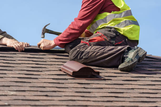 Best Affordable Roof Replacement  in Steele Creek, AK