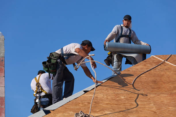 Best Roof Maintenance Services  in Steele Creek, AK