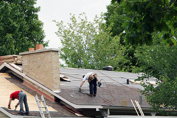 Best Residential Roofing Contractor  in Steele Creek, AK