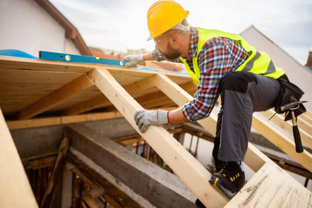 Roof Gutter Cleaning in Steele Creek, AK