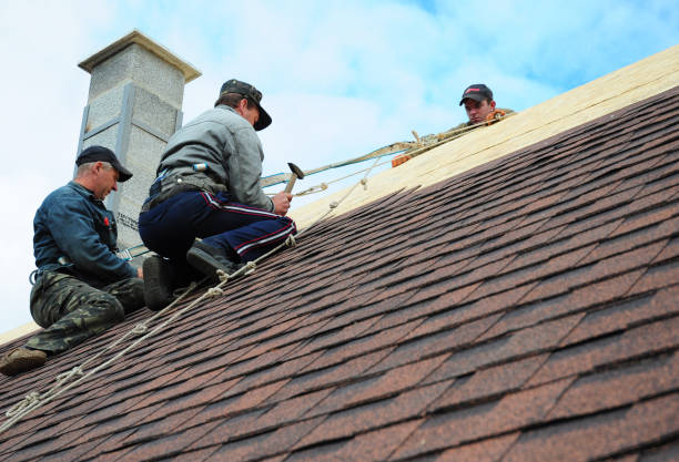 Best Local Roofing Companies  in Steele Creek, AK